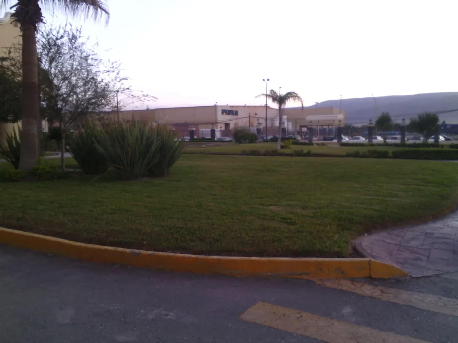 Agaves y pasto en el acceso