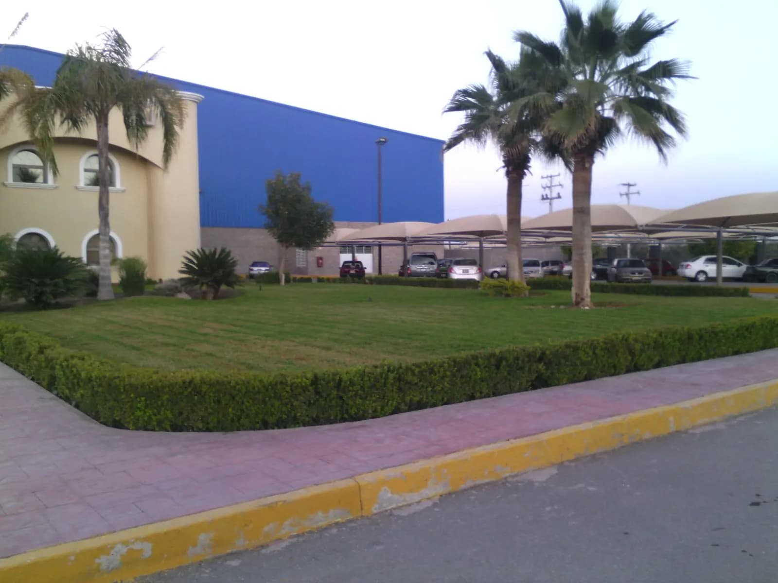 Palmas y pasto frente a la nave de la planta