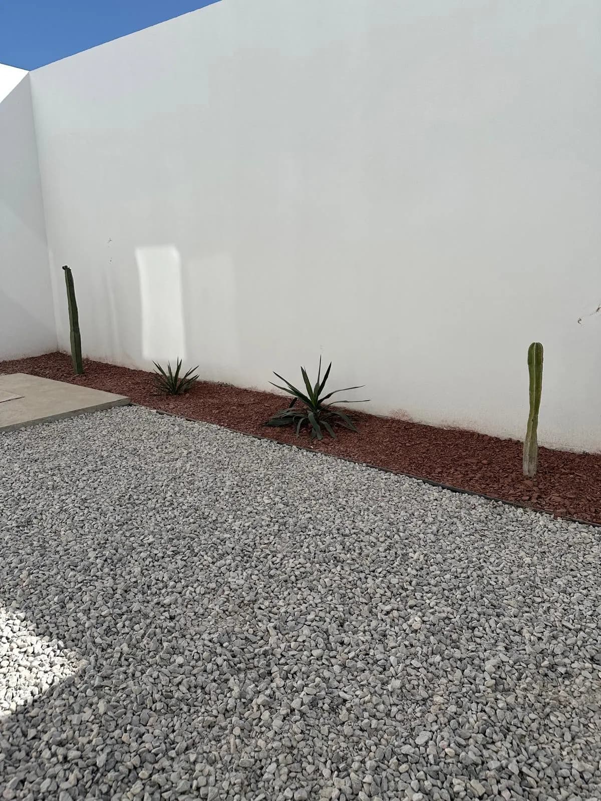 Jardín de casa muestra con grava, agaves y cactus