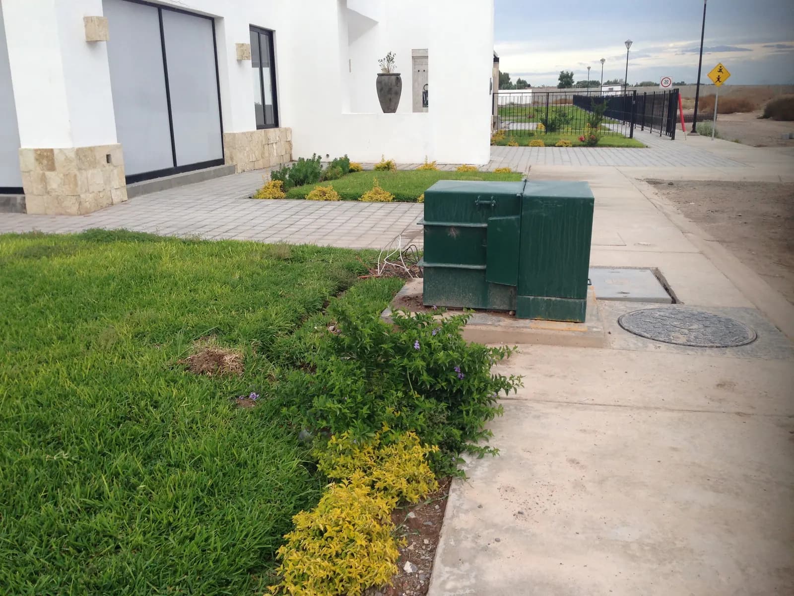 Pasto y flor amarilla junto a la banqueta