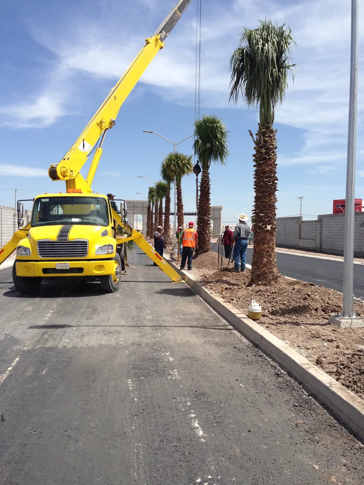 Grúa instalando palmas en el camellón de una avenida