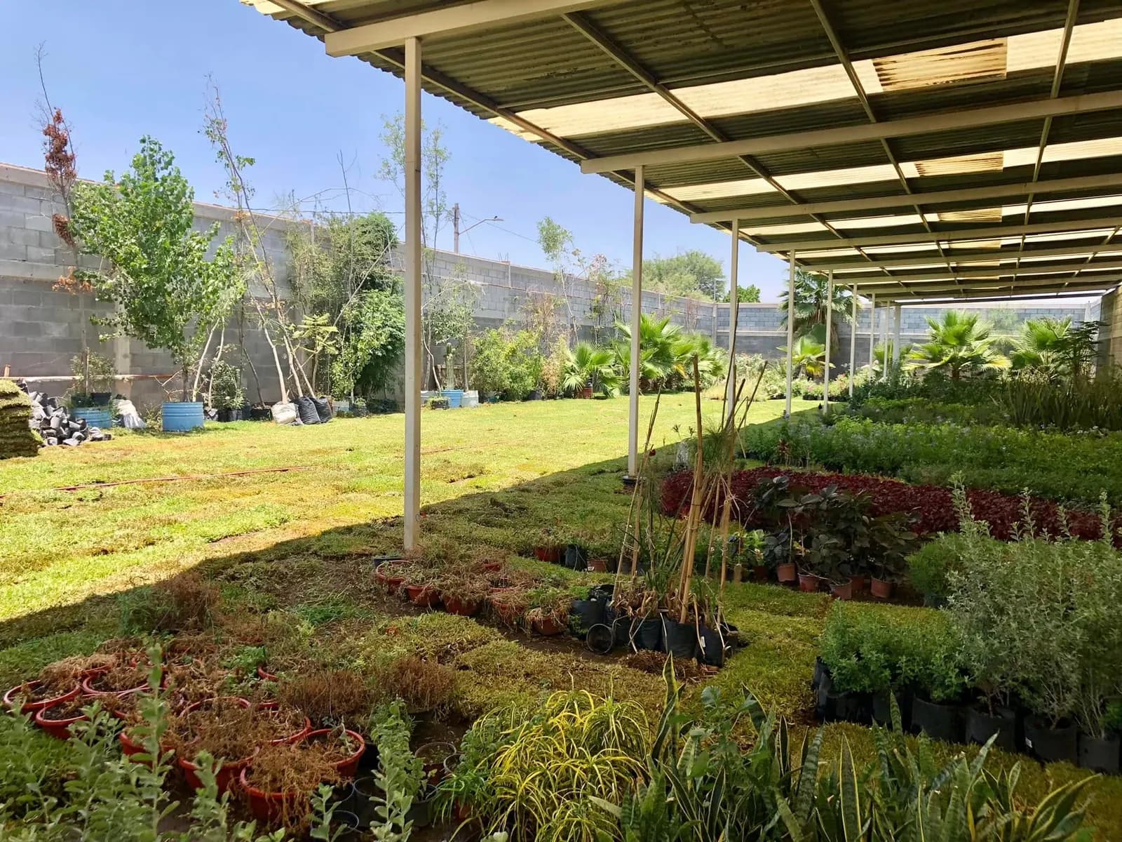 Pasillos del vivero con camas de plantas de color bajo malla sombra