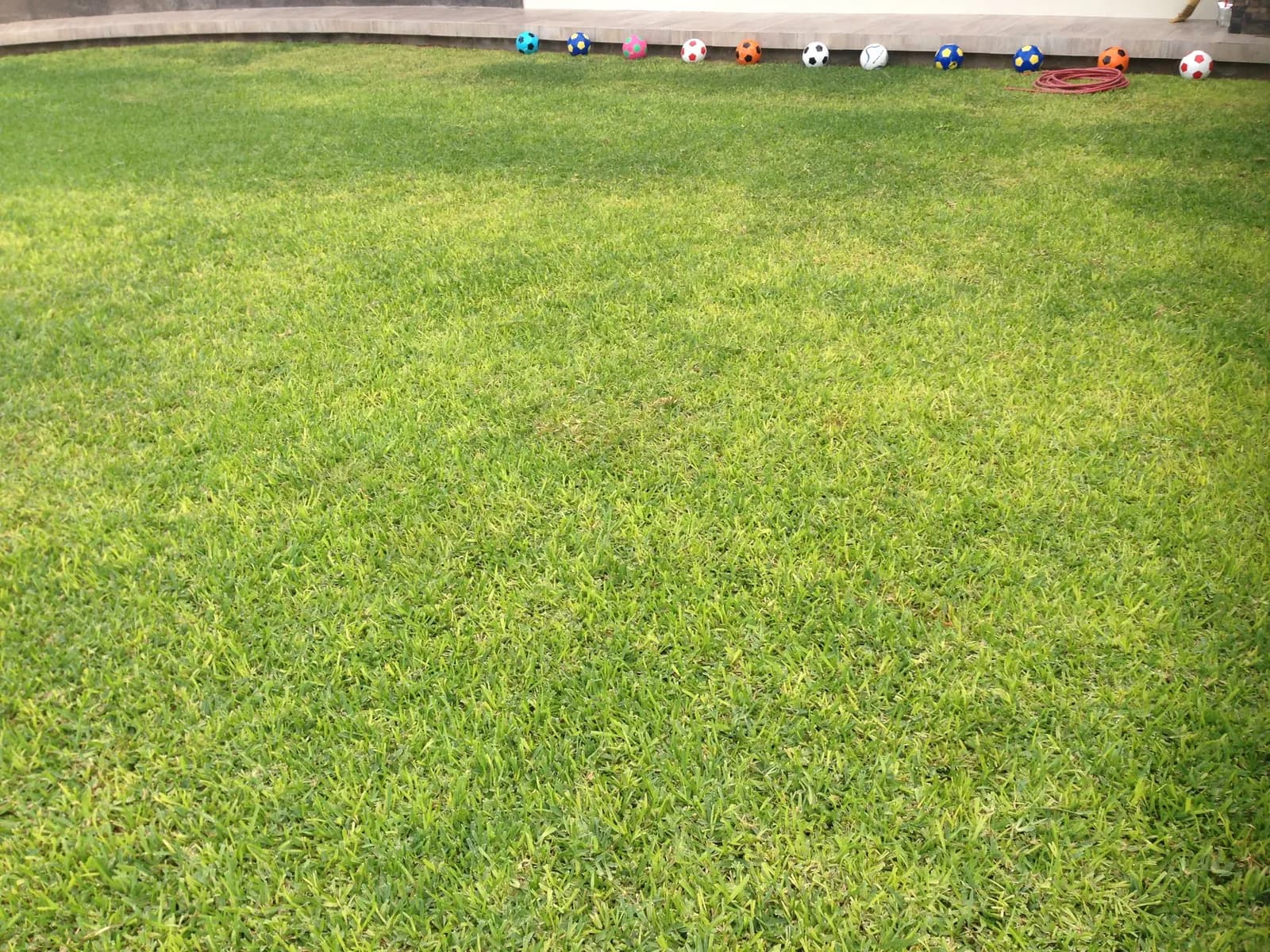 Pasto parejo en el área común